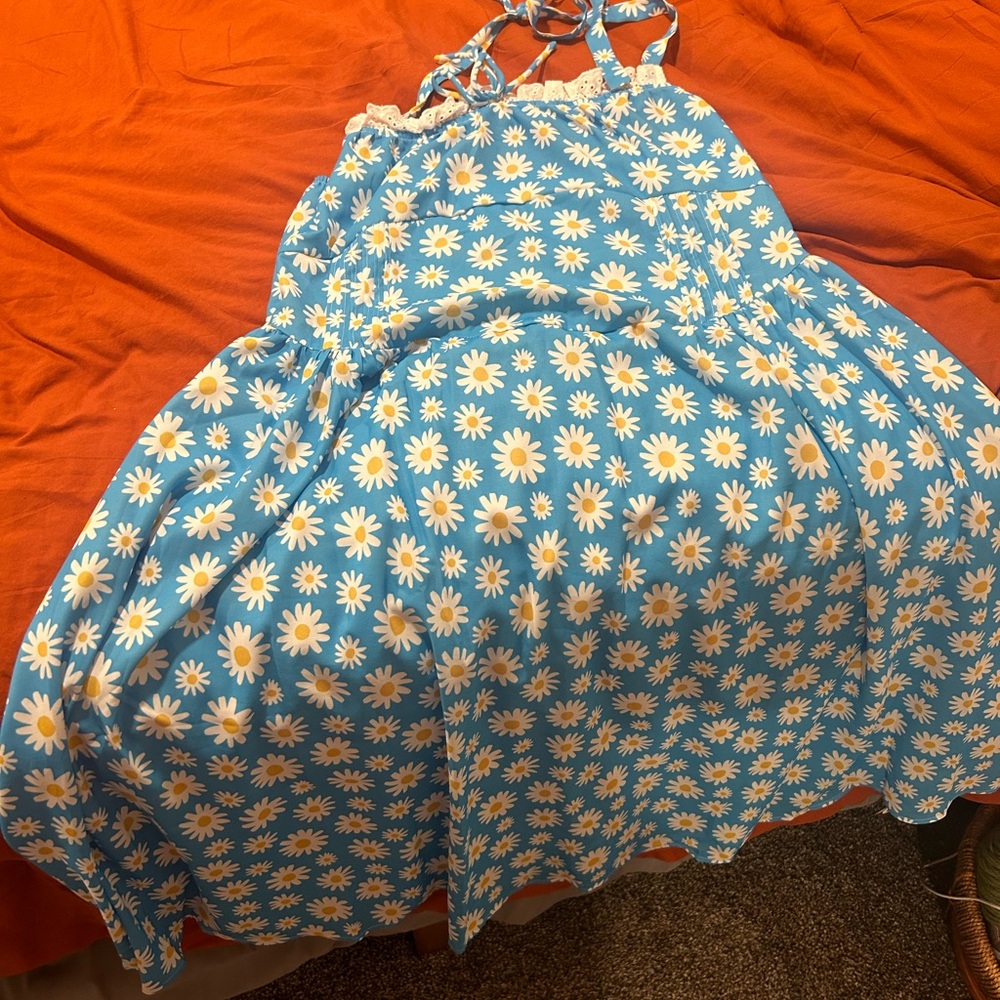 Blue Daisy Print Sundress